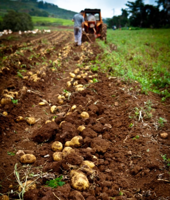 landwirtschaftliche Versicherung