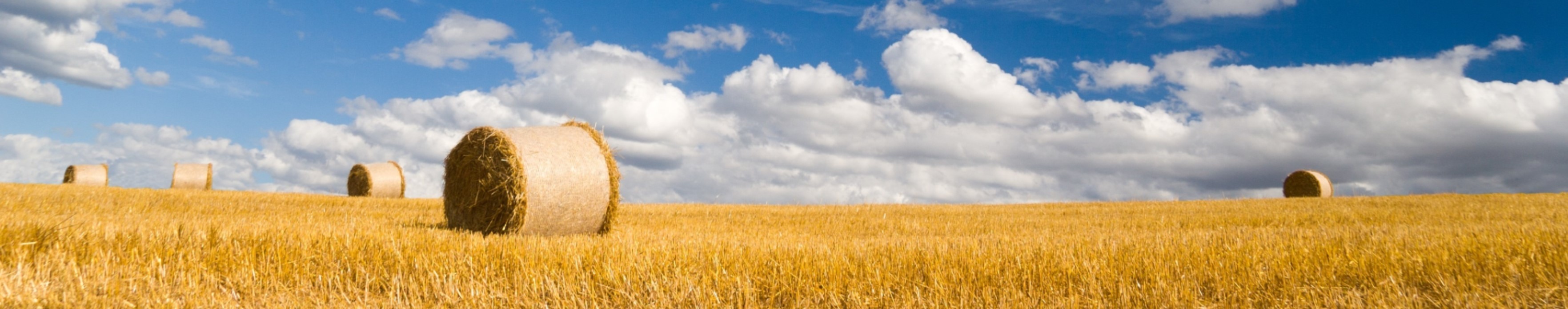 landwirtschaftliche Versicherung