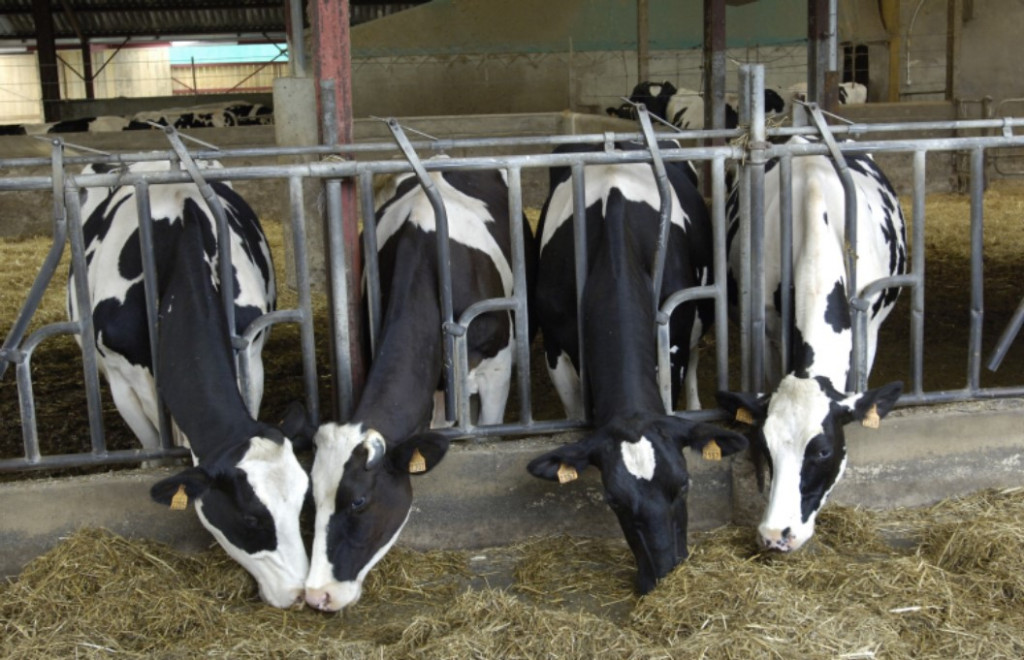 landwirtschaftliche Versicherung